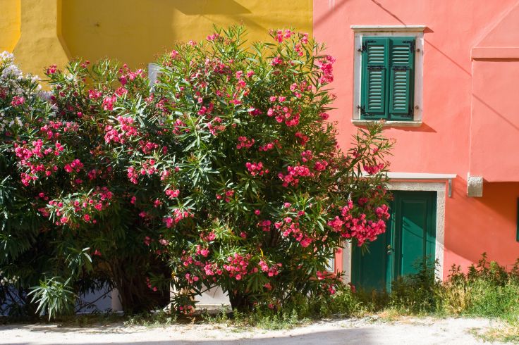 Croatia - Barban - Krk Island - Plitvice