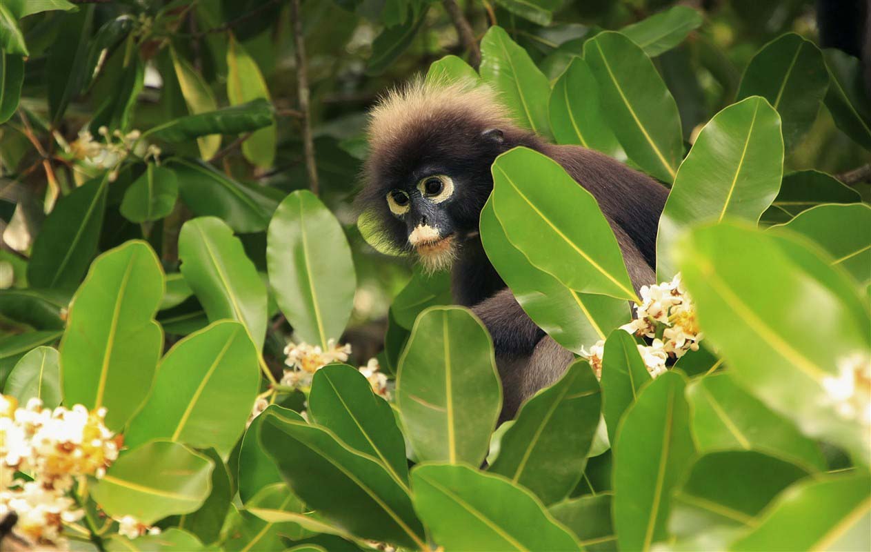 Inland Belize,The Belizean Coast,Miami