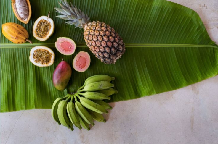 Brazil - Rio de Janeiro - Iguacu - Salvador de Bahia