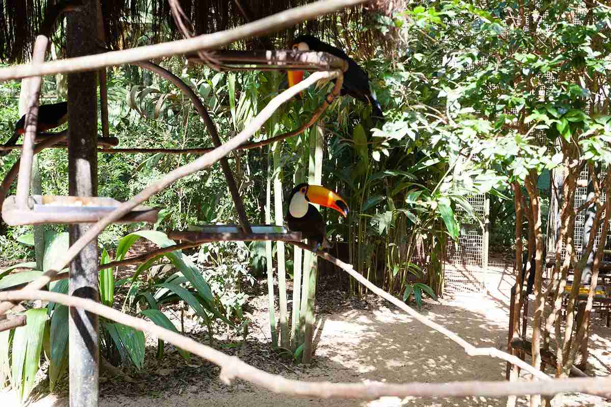 Minas Gerais,Rio, Buzios, Paraty & the Costa Verde