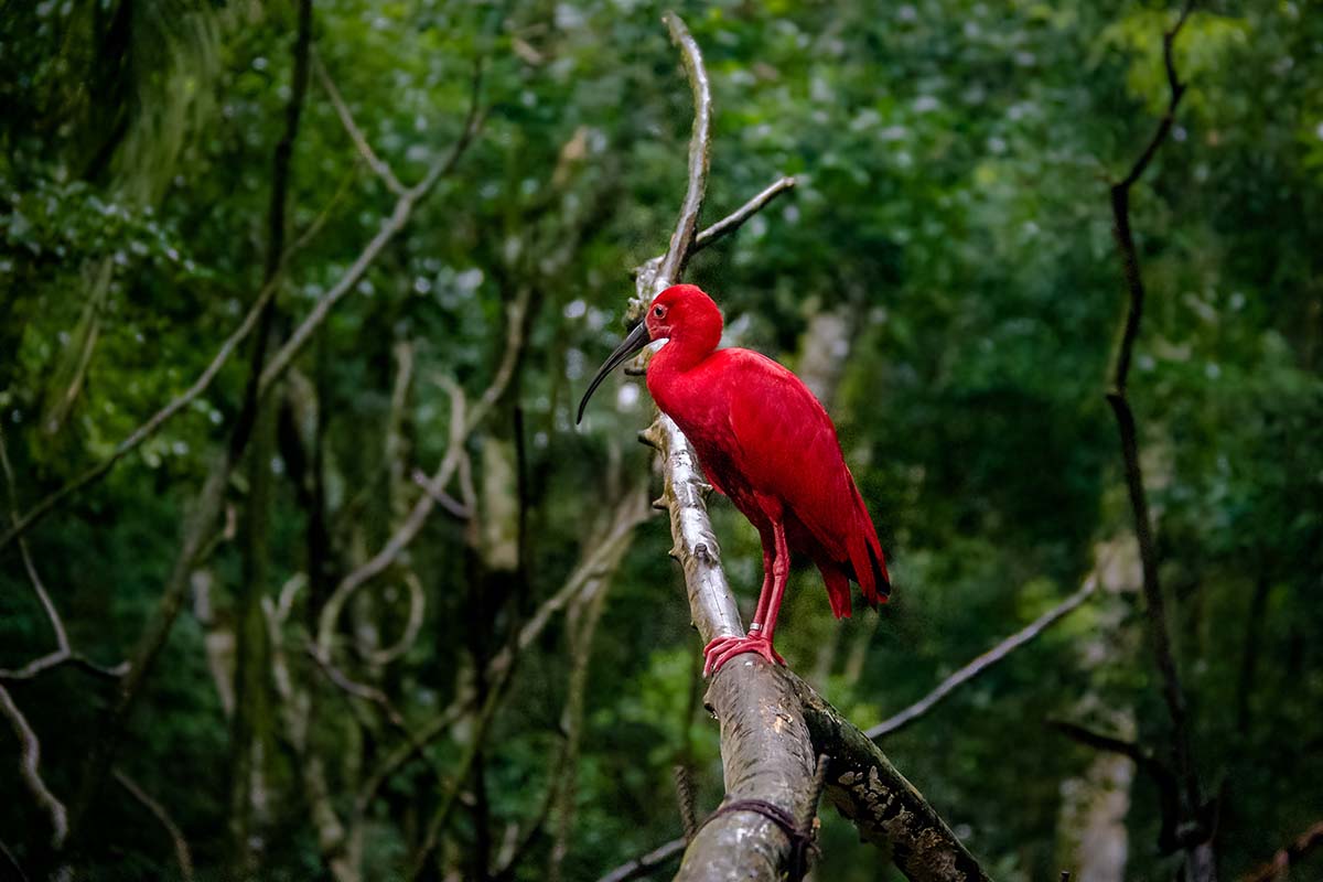 Minas Gerais,Rio, Buzios, Paraty & the Costa Verde